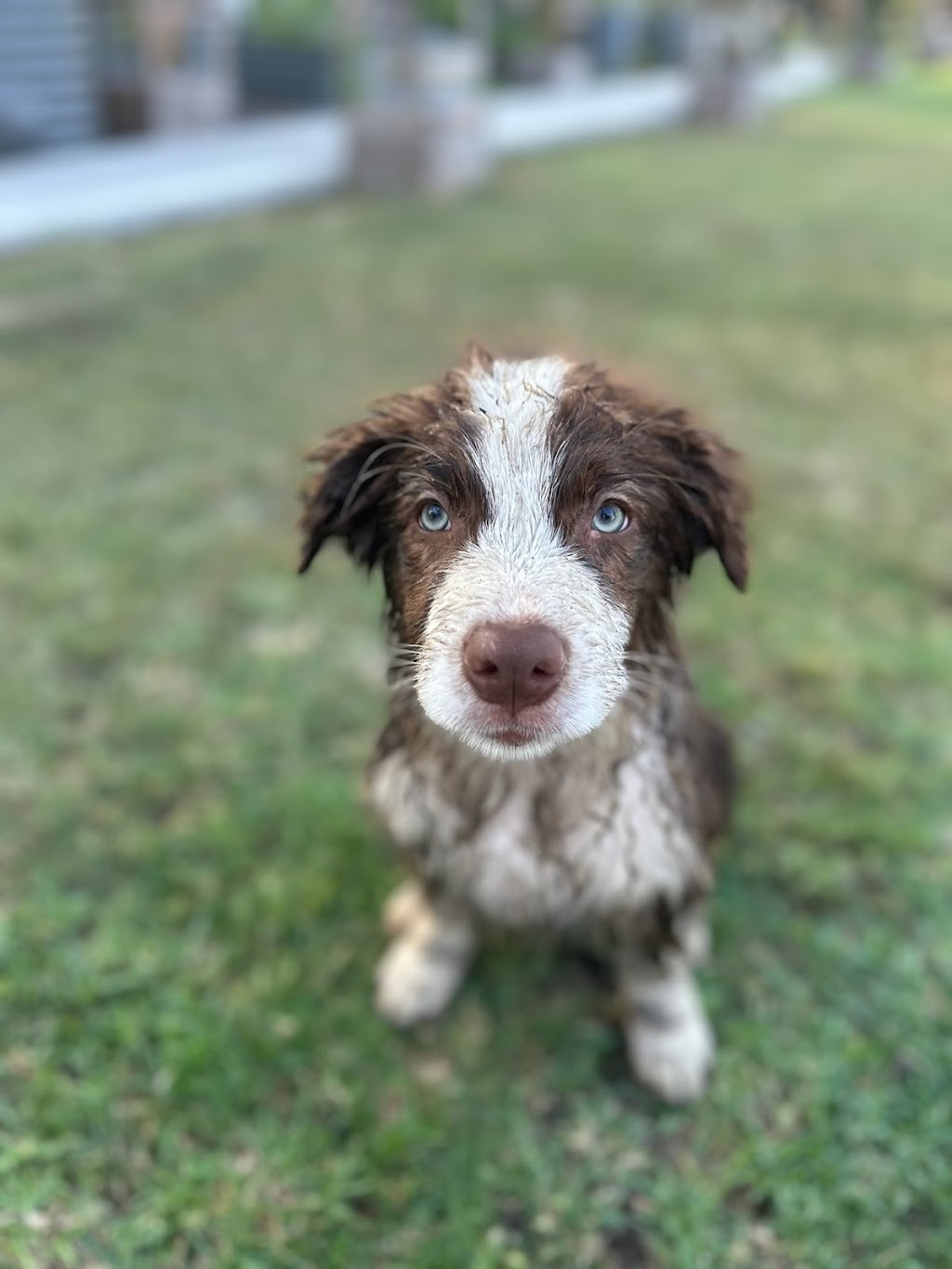 Mona Cottage | 14-18 Mona Rd, Woongarrah NSW 2259, Australia | Phone: 0436 360 834