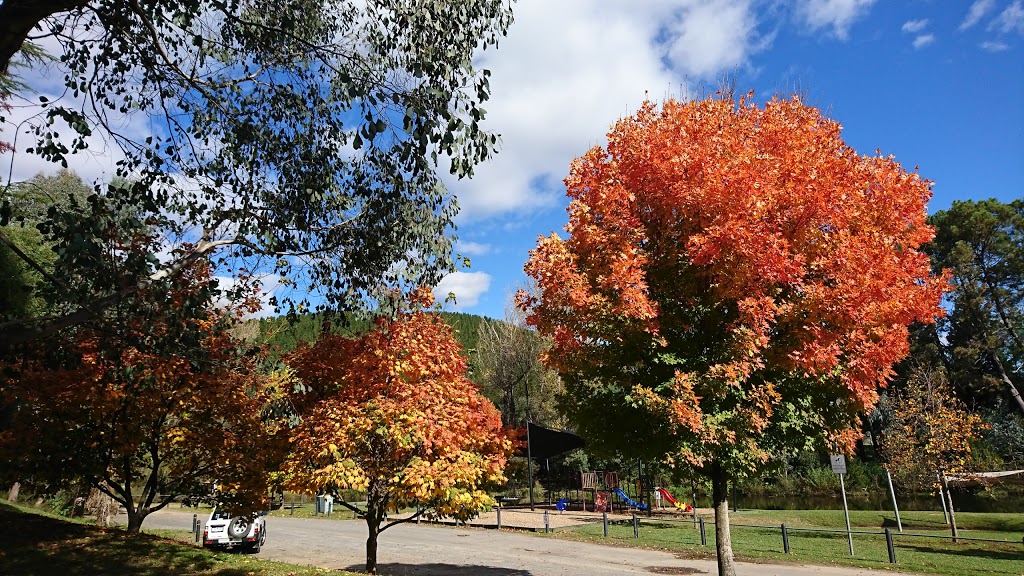 Play by the River Bank | Murray to the Mountains Rail Trail, Porepunkah VIC 3740, Australia