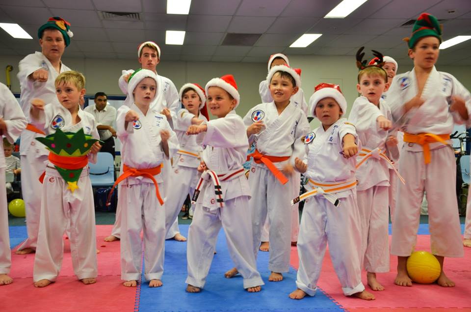 Ishinryu Karate Australia - Menai dojo | Menai Indoor Sports Centre, Allison Cres, Menai NSW 2234, Australia | Phone: (02) 9527 6915