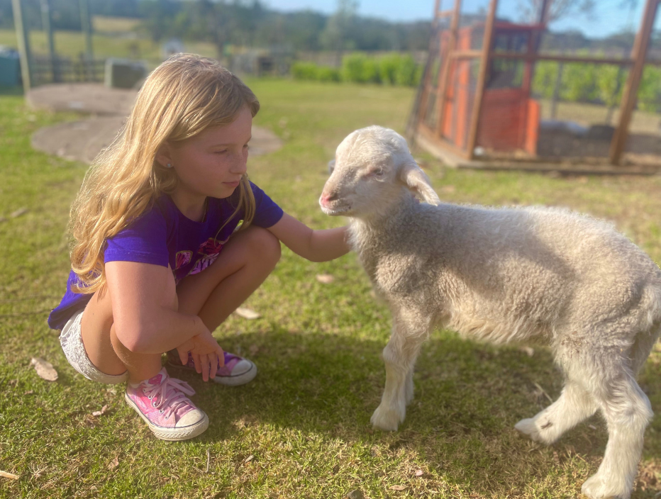 Diverse Pathways | 110 McPherson Rd, Mardi NSW 2259, Australia | Phone: 1300 348 333