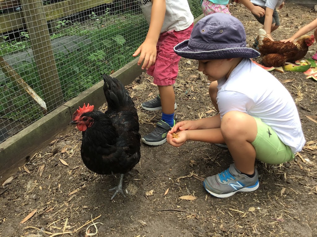 Pelicans Nest Early Learning Centre |  | 200 Pelican Waters Blvd, Pelican Waters QLD 4551, Australia | 0754375850 OR +61 7 5437 5850