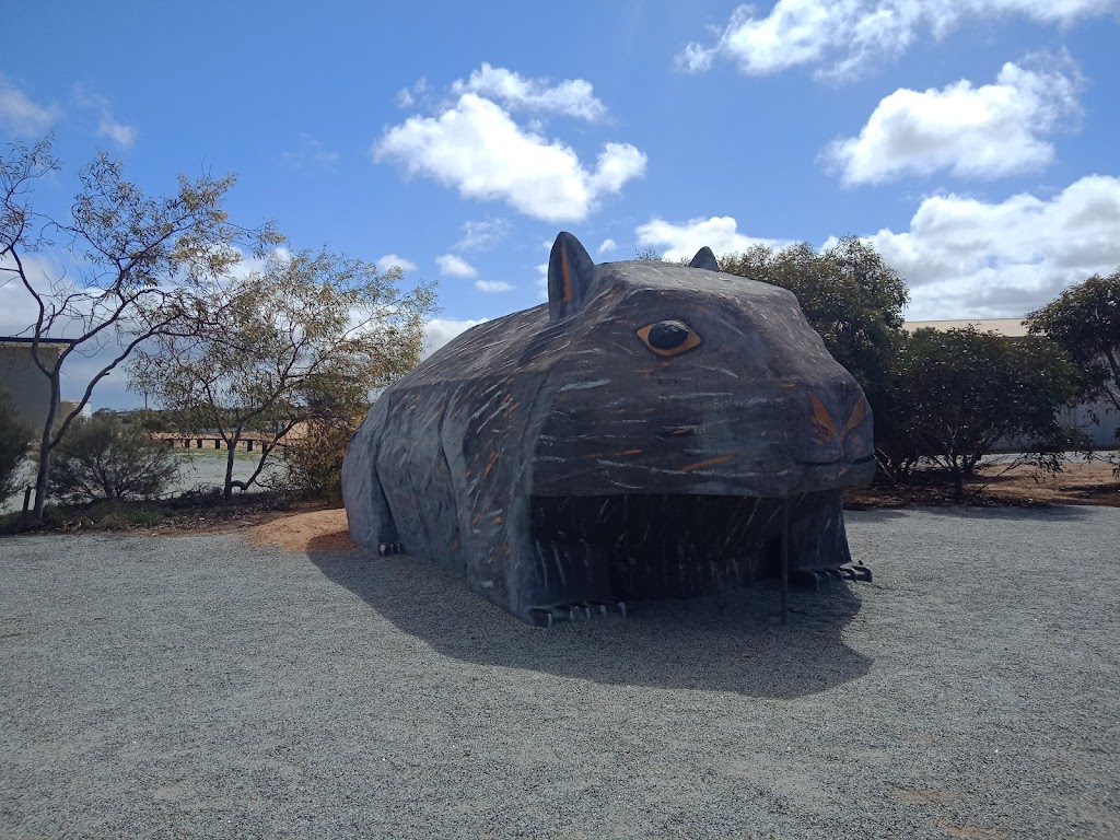 Scotdesco | Eyre Hwy, Bookabie SA 5690, Australia | Phone: (08) 8625 6222