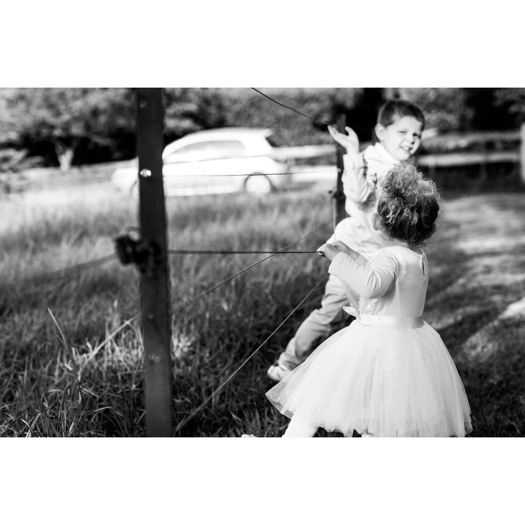 Bear Hunt Photography | 37 Albert St, Berry NSW 2535, Australia | Phone: 0431 657 911