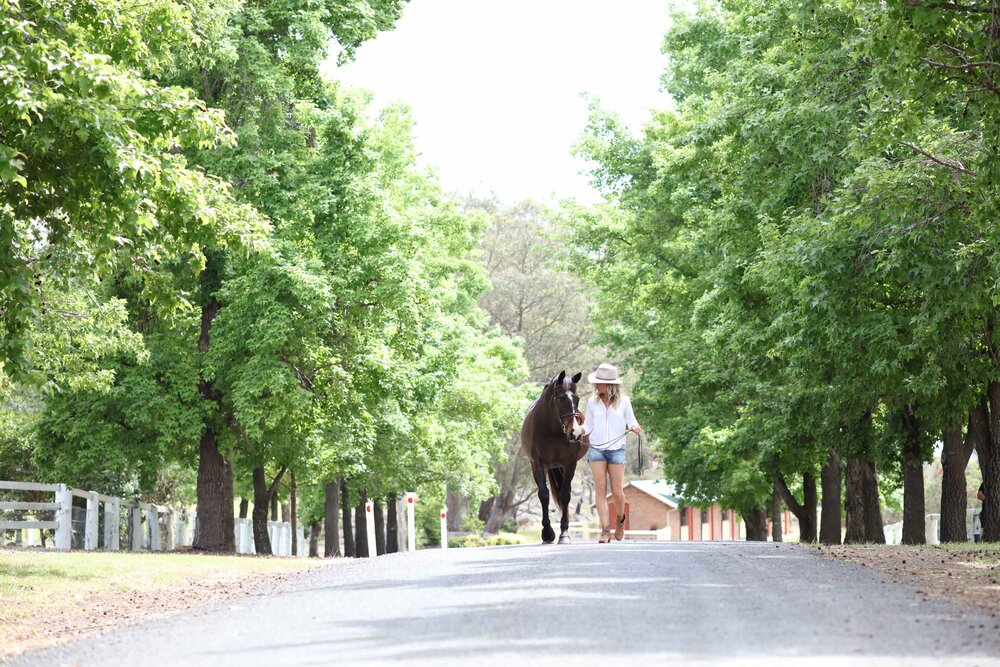 Hadden Farm | 47 Mcmahons Rd, Wilberforce NSW 2756, Australia | Phone: (02) 4579 9205