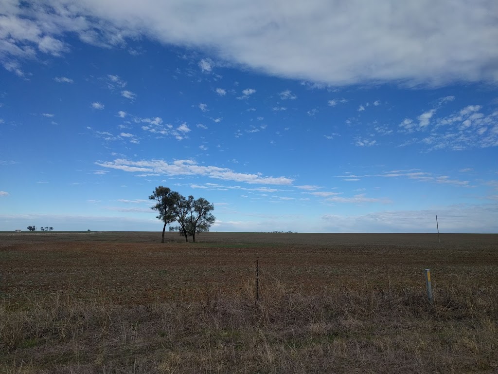 Banyena I134 Bushland Reserve | Donald-Stawell Rd, Banyena VIC 3388, Australia