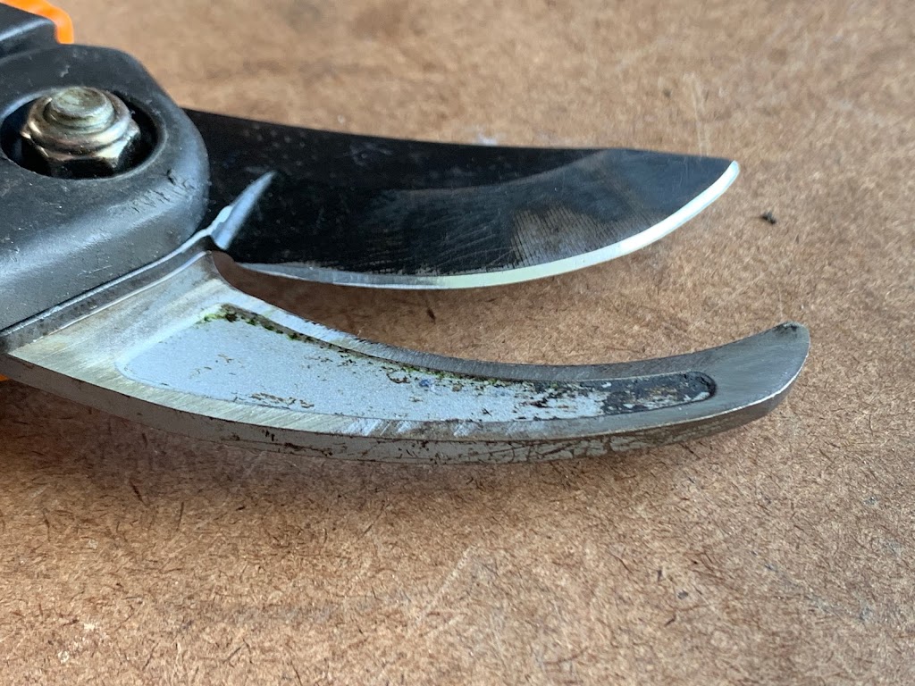 Wickedly Sharp - Hand Sharpened Knives And Tools |  | 14 Sassifras St, Mudjimba QLD 4564, Australia | 0412987179 OR +61 412 987 179