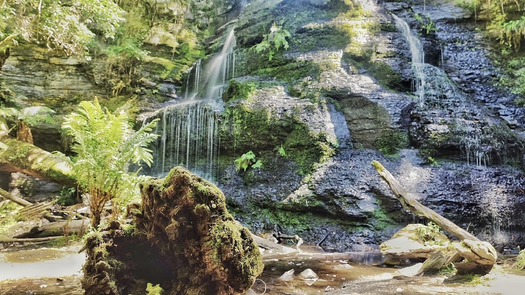 Henderson Falls | Henderson Track, Lorne VIC 3232, Australia | Phone: 13 19 63