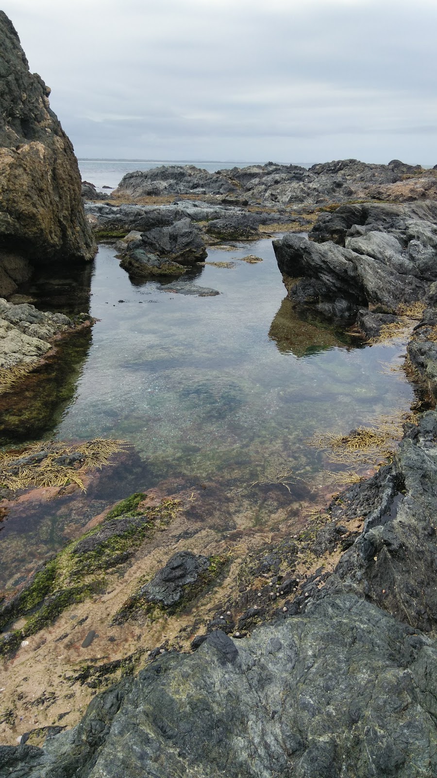 Rocky Beach | park | Port Macquarie NSW 2444, Australia | 65818111 OR +61 65818111