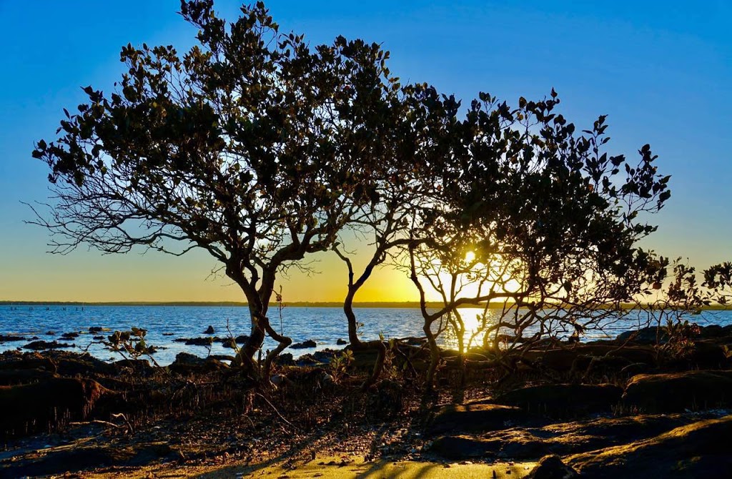 Sunset Park | park | Caswell Cres, Tanilba Bay NSW 2319, Australia | 0249800255 OR +61 2 4980 0255