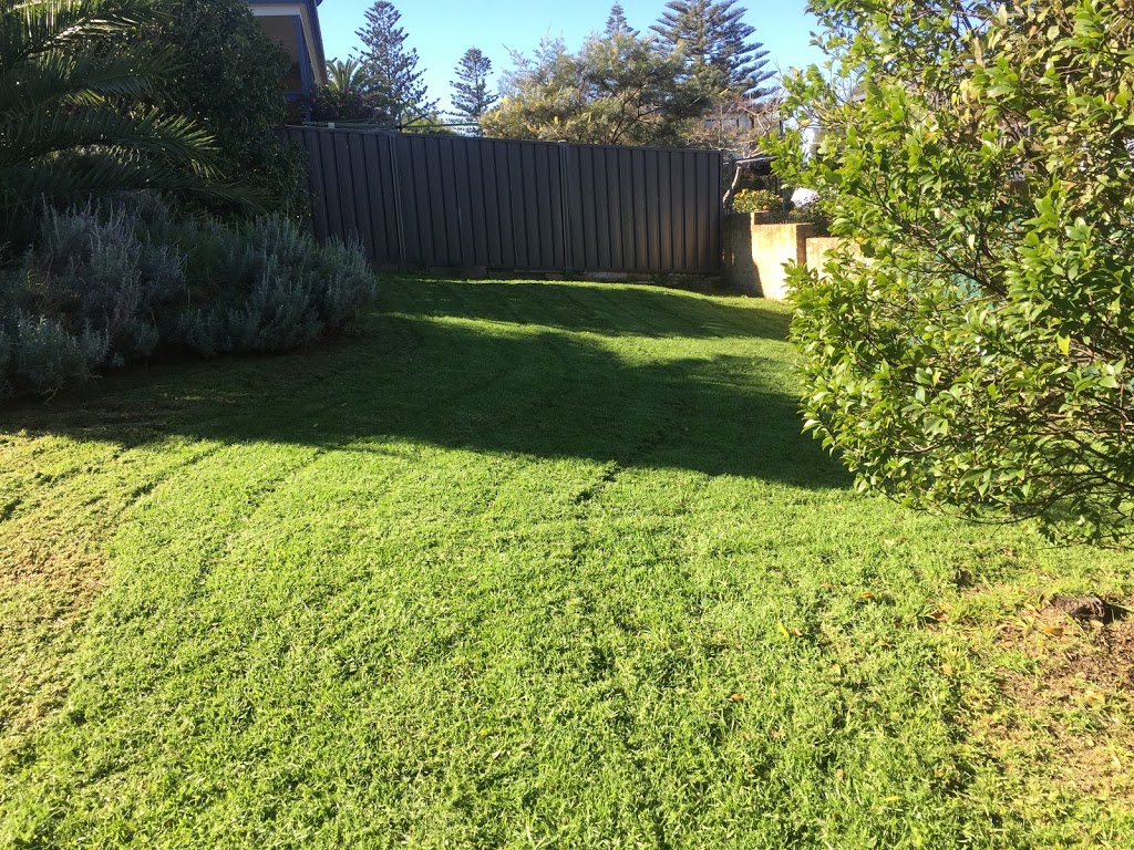 Mike the Mower Man | Coila NSW 2537, Australia | Phone: 0477 256 645