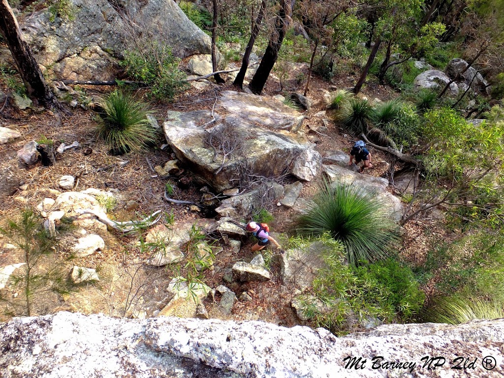 Southeast Ridge (Mt Barney) | park | Mount Barney QLD 4287, Australia