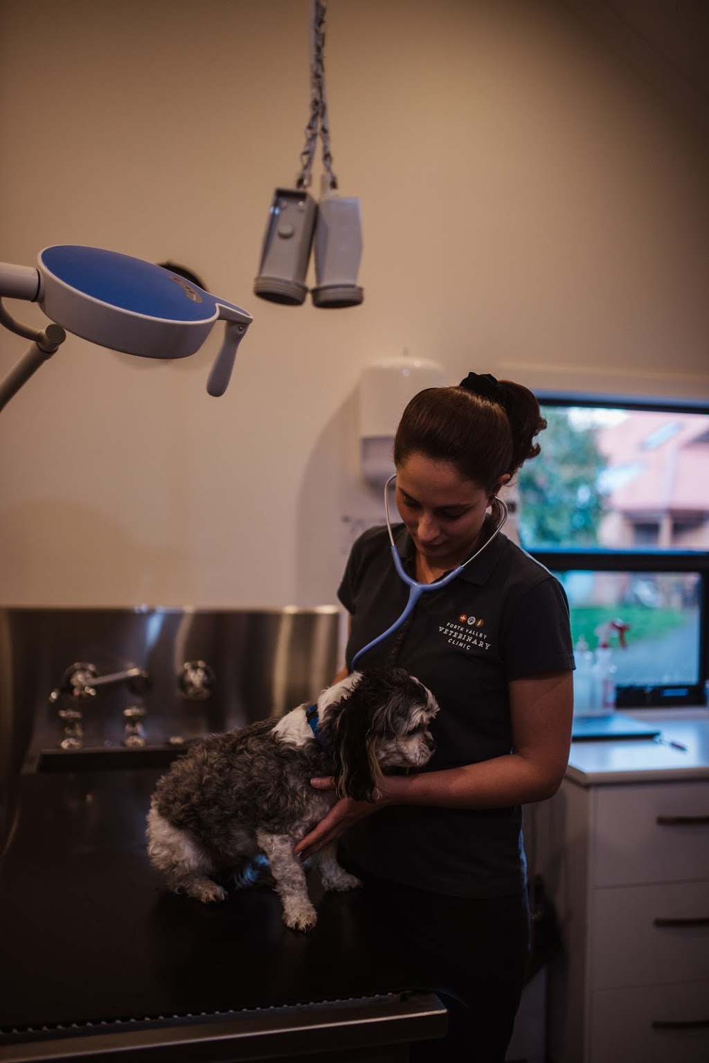 Forth Valley Veterinary Clinic | veterinary care | 25 Wilmot Rd, Forth TAS 7310, Australia | 0364282703 OR +61 3 6428 2703