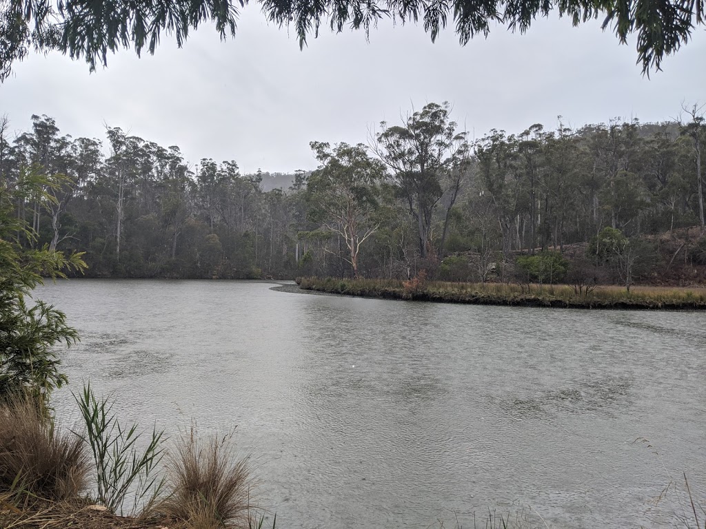 Scamander Forest Reserve | Scamander TAS 7215, Australia