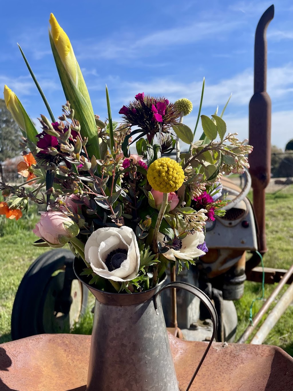 Valley View Flower Farm - You Pick Experience | 151 Burns Rd, Wisemans Creek NSW 2795, Australia | Phone: 0467 597 713
