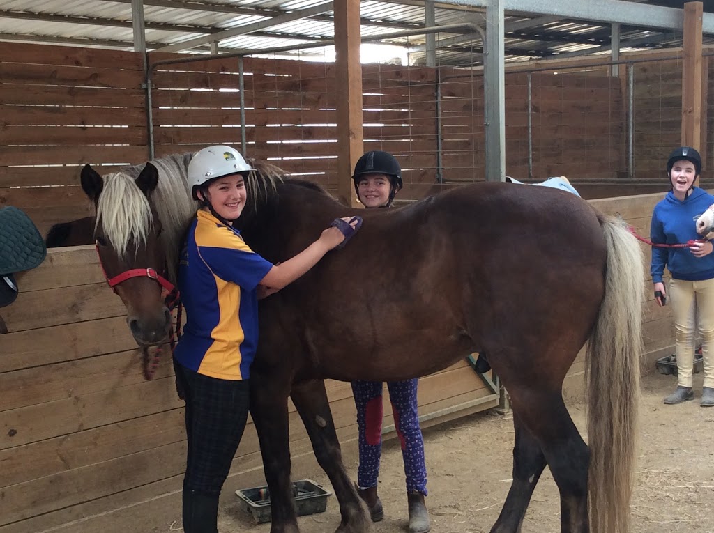 Melbourne Indoor Equestrian Centre | Macs Road, Kinglake West Melbourne VIC 3757, Australia | Phone: 0400 874 118