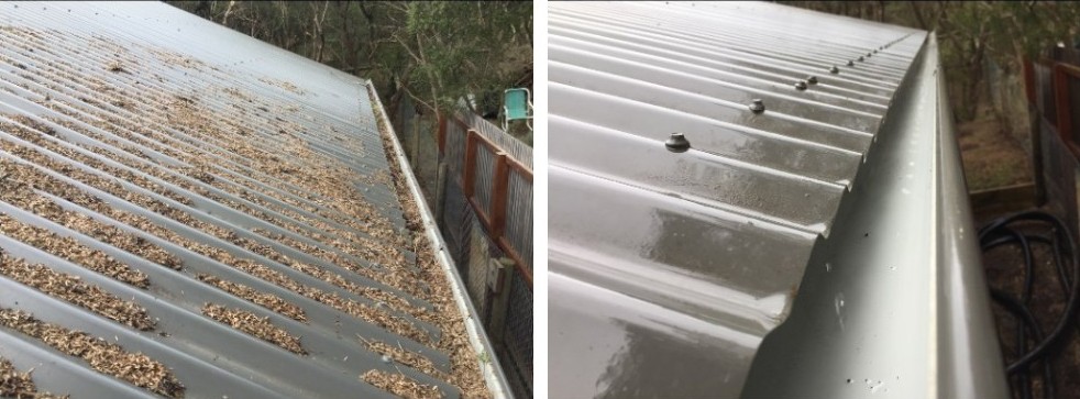 Flow Right Gutter Cleaning & Tree Care | 27 Godson Ave, Blackheath NSW 2785, Australia | Phone: 0411 981 260