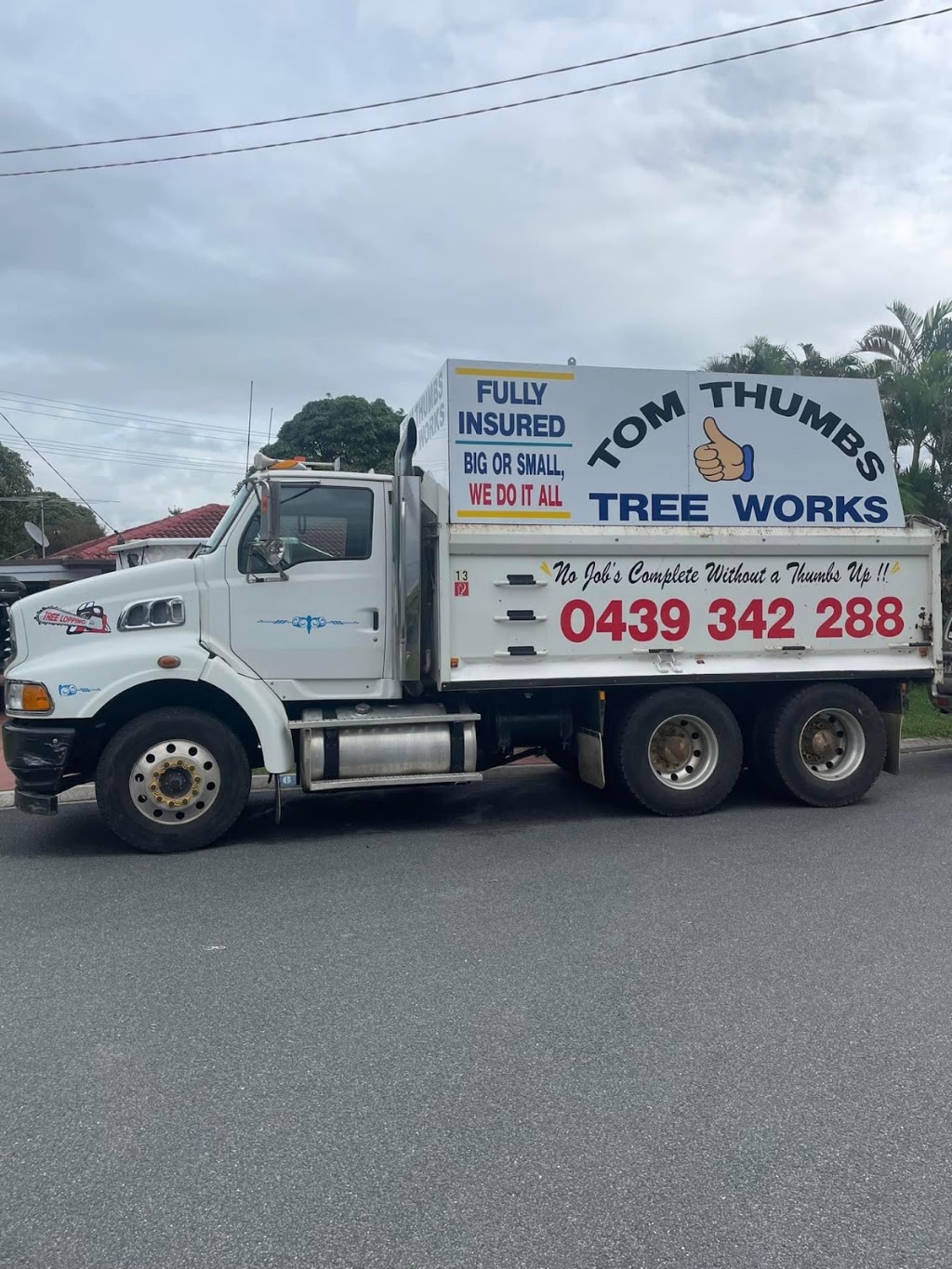 Tom Thumb Tree Works | 190 Woodlands Dr, Wamuran QLD 4512, Australia | Phone: (07) 5429 8318