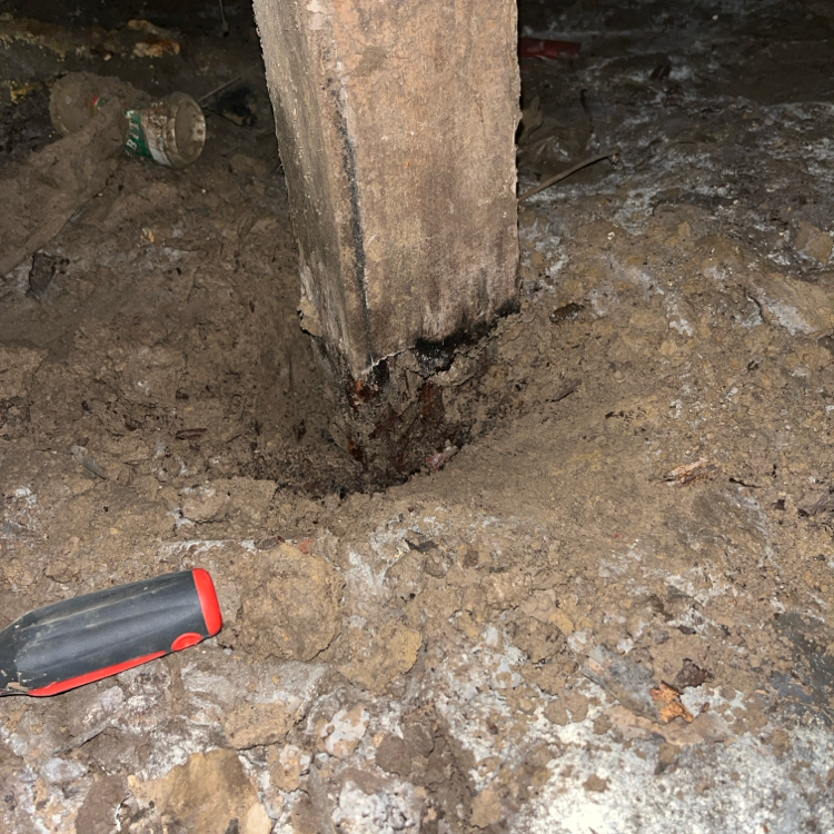 Resicert Property and Pest Inspections - Victoria – Gippsland | 420 Church Rd, Hazelwood North VIC 3840, Australia | Phone: 0418 242 801