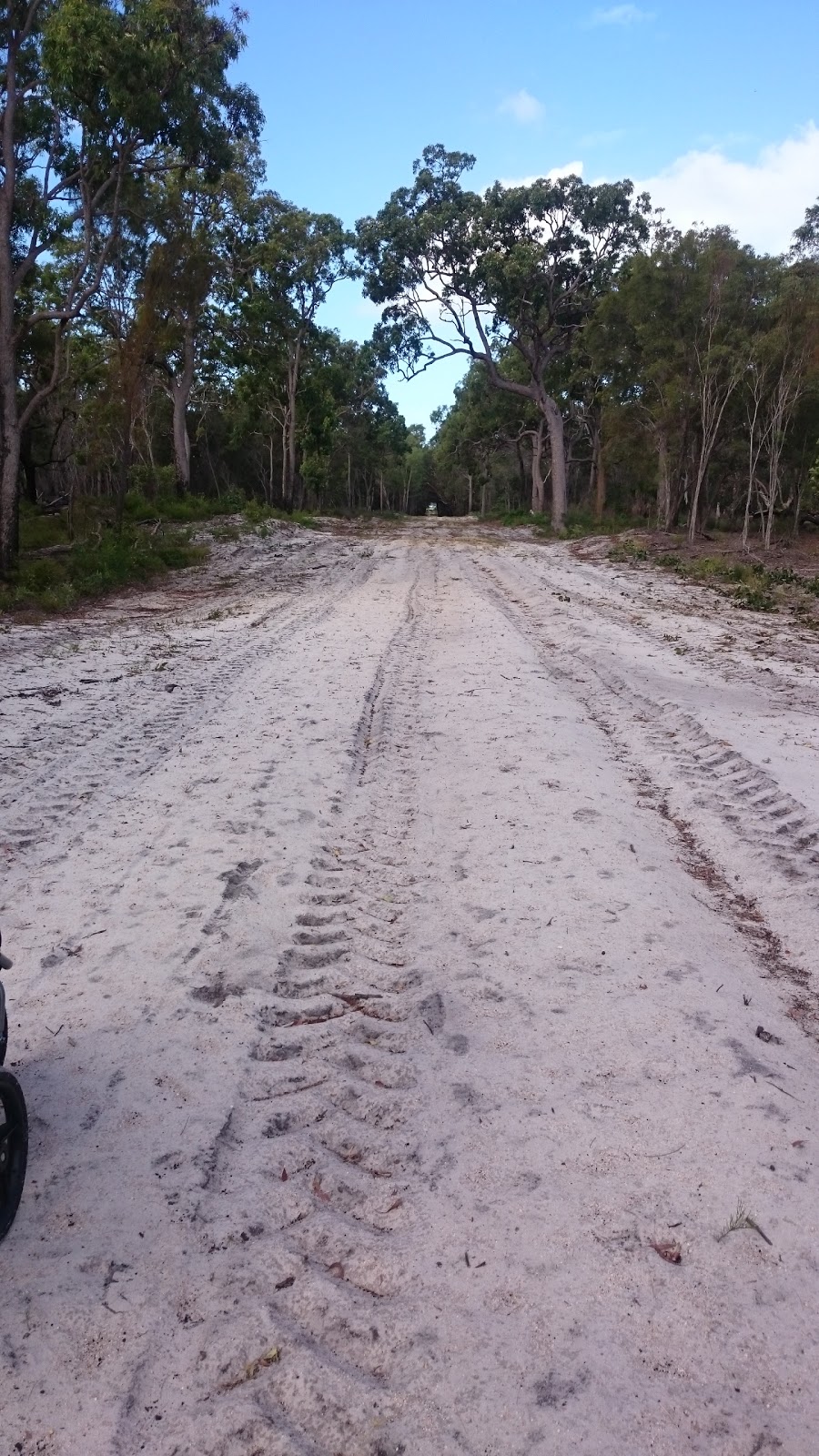 Banksia Track Trail Head | 36 Acacia St, Woodgate QLD 4660, Australia