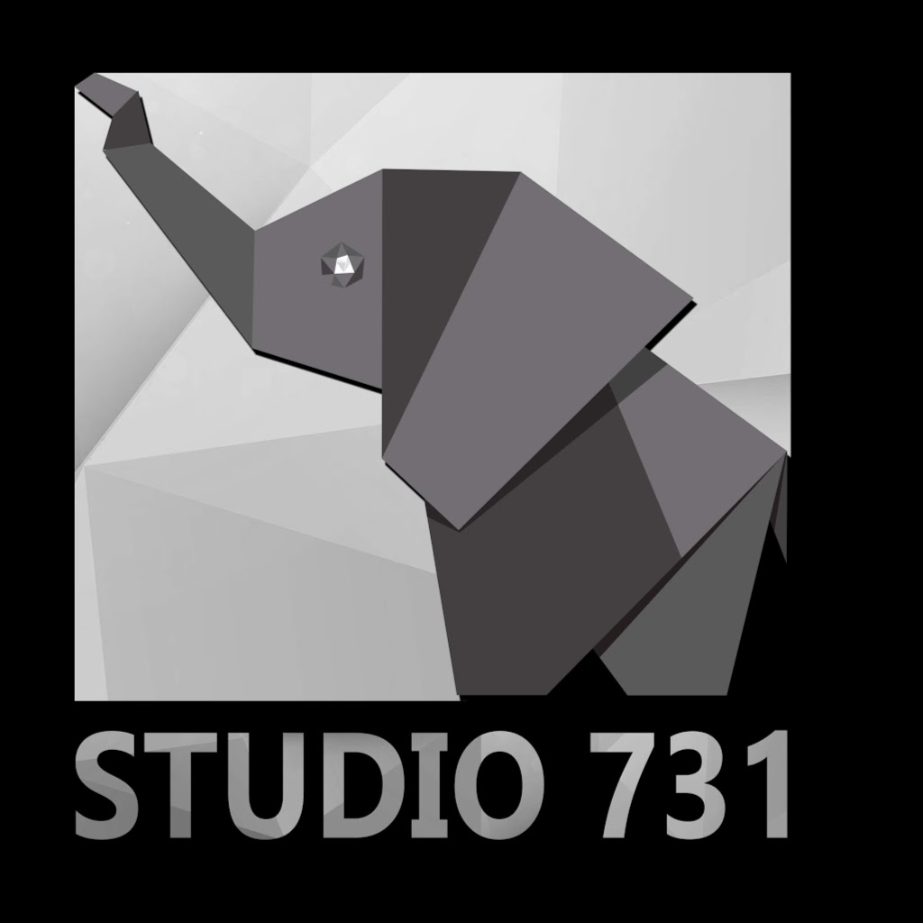 STUDIO 731 MELTON | 128 Botanica Springs Blvd, Melton VIC 3338, Australia | Phone: 0424 969 658