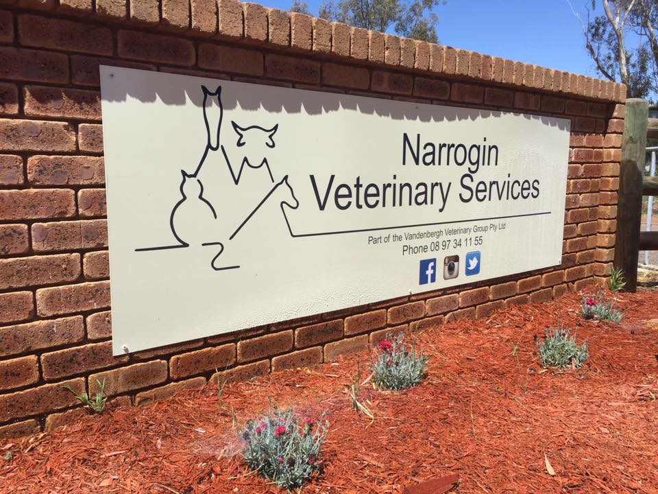Narrogin Veterinary Services | 200 Earl St, Hillside WA 6312, Australia | Phone: (08) 9881 5417