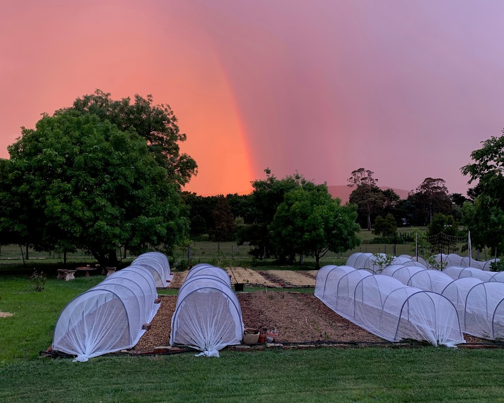 Woodend Flower Farm | 107 Mahoneys Rd, Woodend VIC 3442, Australia | Phone: 0493 396 894