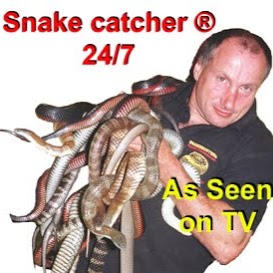 Snake Catcher ® Eltham | Unit 2/57 Beard St, Eltham VIC 3095, Australia | Phone: 0412 777 211