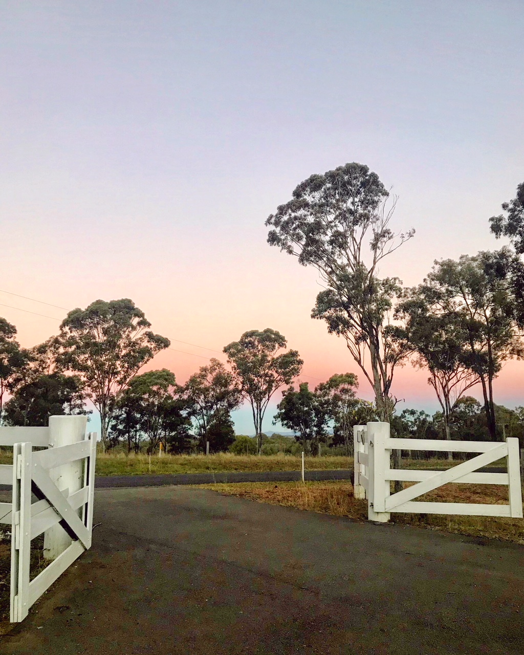 Fernweh Cottage | 270 Old N Rd, Pokolbin NSW 2320, Australia | Phone: 0481 303 333