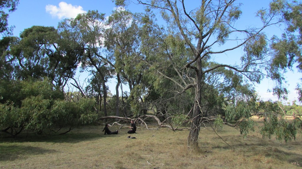 Woodlands Picnic Area | Water Res Within Royal Botanic Gardens, Wylies Creek Track, Cranbourne VIC 3977, Australia | Phone: (03) 5990 2200