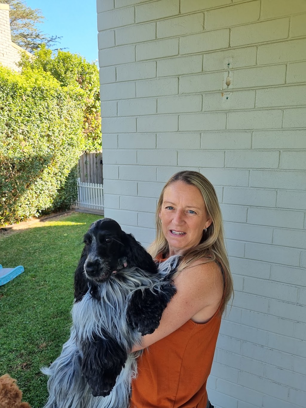 Hunters Doggy Daycare & Shop | 29 Blackbutts Rd, Frenchs Forest NSW 2086, Australia | Phone: 0415 693 337