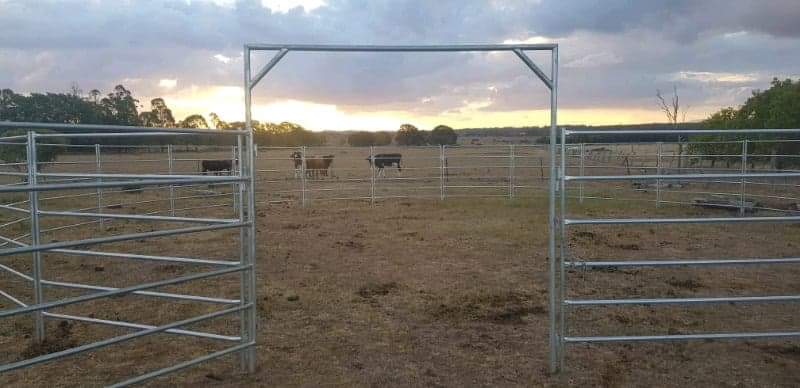 Harrison Livestock Equipment | store | 20 Teak St, Brightview QLD 4311, Australia | 0415652570 OR +61 415 652 570