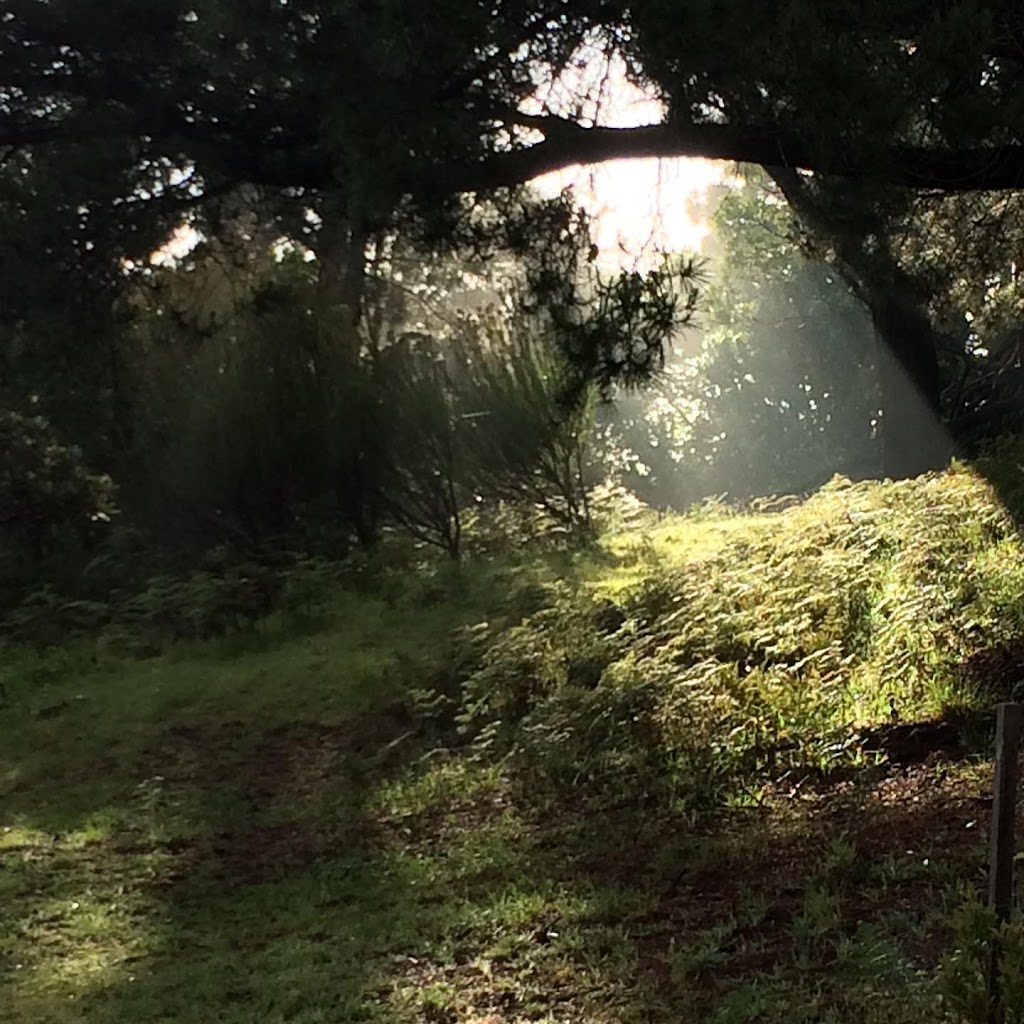 Jane Hope Spiritual Director and Retreat Guide | 215 Beenak E Rd, Gembrook VIC 3783, Australia | Phone: (03) 5968 1211