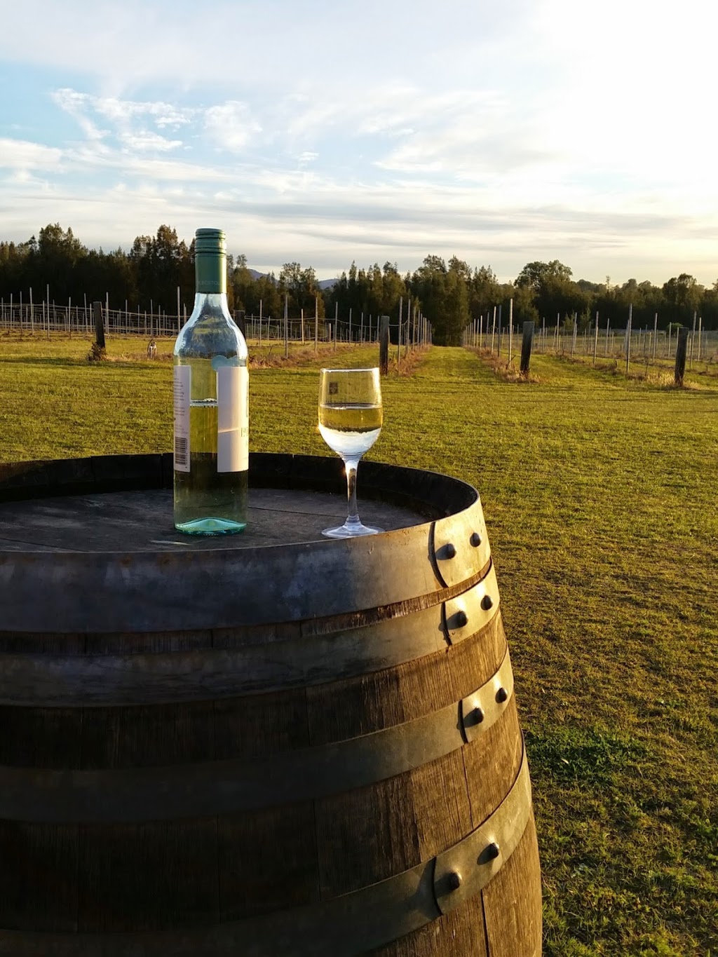 La Vigna Estate Hunter Valley | 375 Hermitage Rd, Pokolbin NSW 2060, Australia | Phone: 0414 583 294