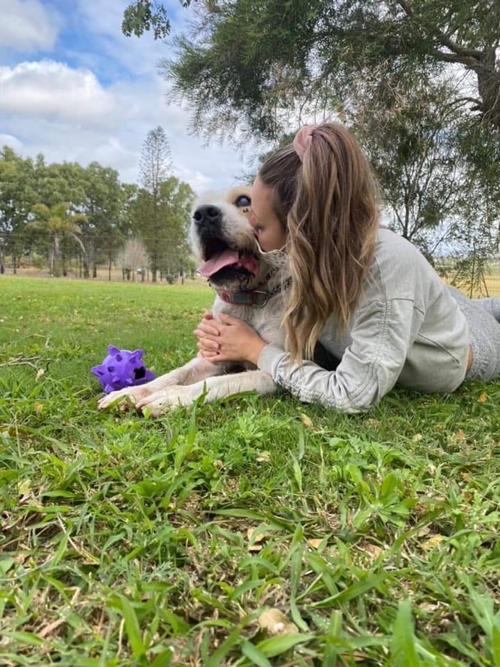 Brave Companion Dog Rescue Inc |  | 2107 Laidley Rosewood Rd, Laidley QLD 4341, Australia | 0491727449 OR +61 491 727 449