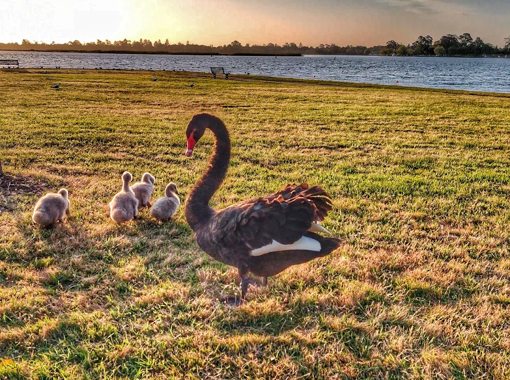 The Camboy Photography | 37 Mullingar Dr, Alfredton VIC 3350, Australia | Phone: 0478 479 552