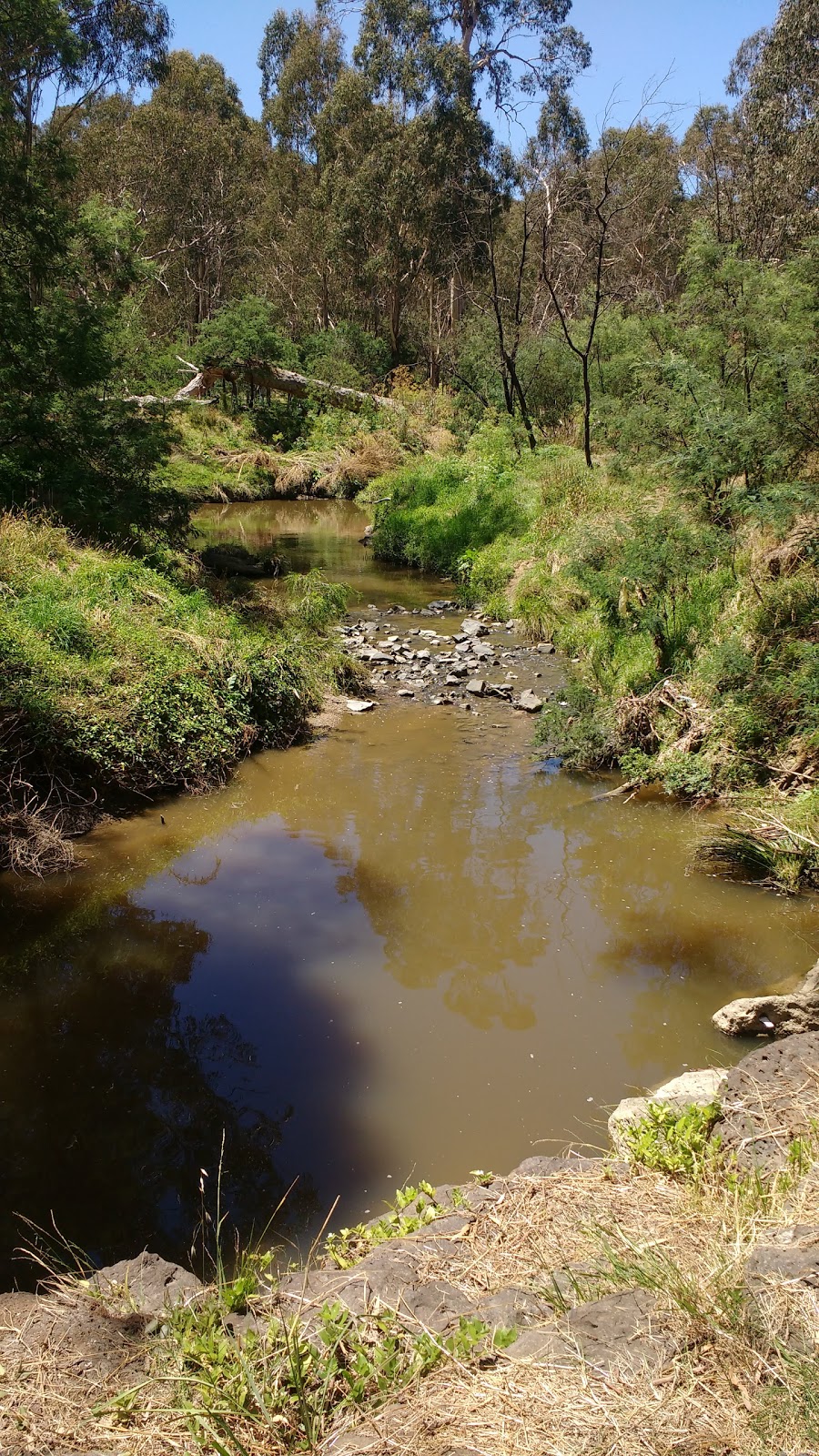 Currawong Bush Park | park | Reynolds Rd, Doncaster East VIC 3109, Australia