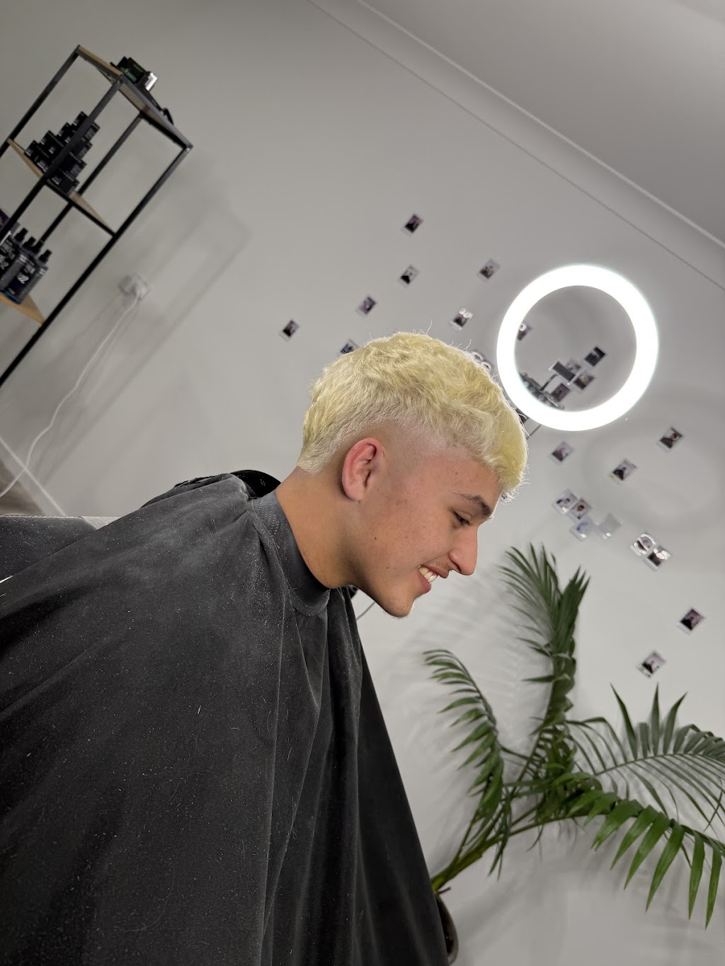 Mrgreencuts | 77 Tivoli Ave, Greenbank QLD 4124, Australia | Phone: 0421 051 713