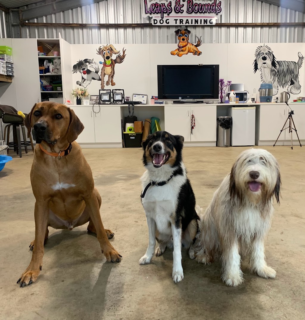 Leaps & Bounds Dog Training | 46 Masons Rd, Rosevears TAS 7277, Australia | Phone: 0408 139 055