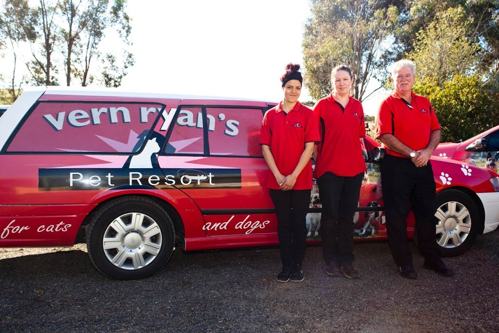 Vern Ryans Pet Resort Check in Center Yarraville | veterinary care | 291 Williamstown Rd, Yarraville VIC 3013, Australia | 0353695236 OR +61 3 5369 5236