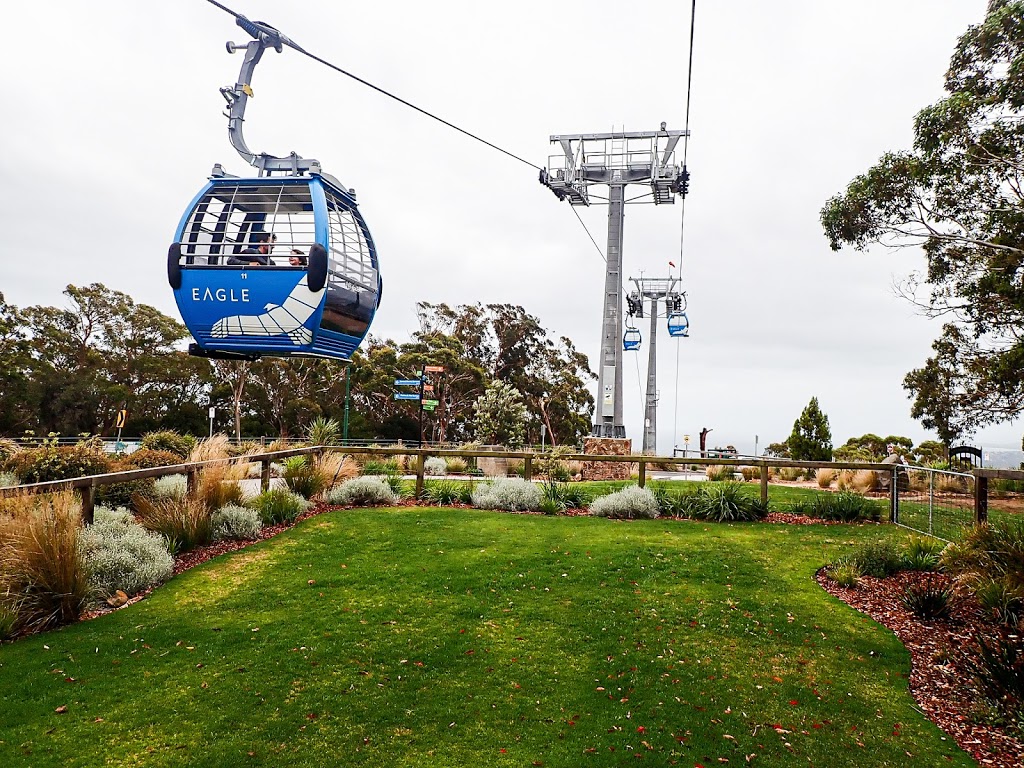 Arthurs Seat Eagle - Summit Station | 795 Arthurs Seat Rd, Arthurs Seat VIC 3936, Australia | Phone: (03) 5987 0600