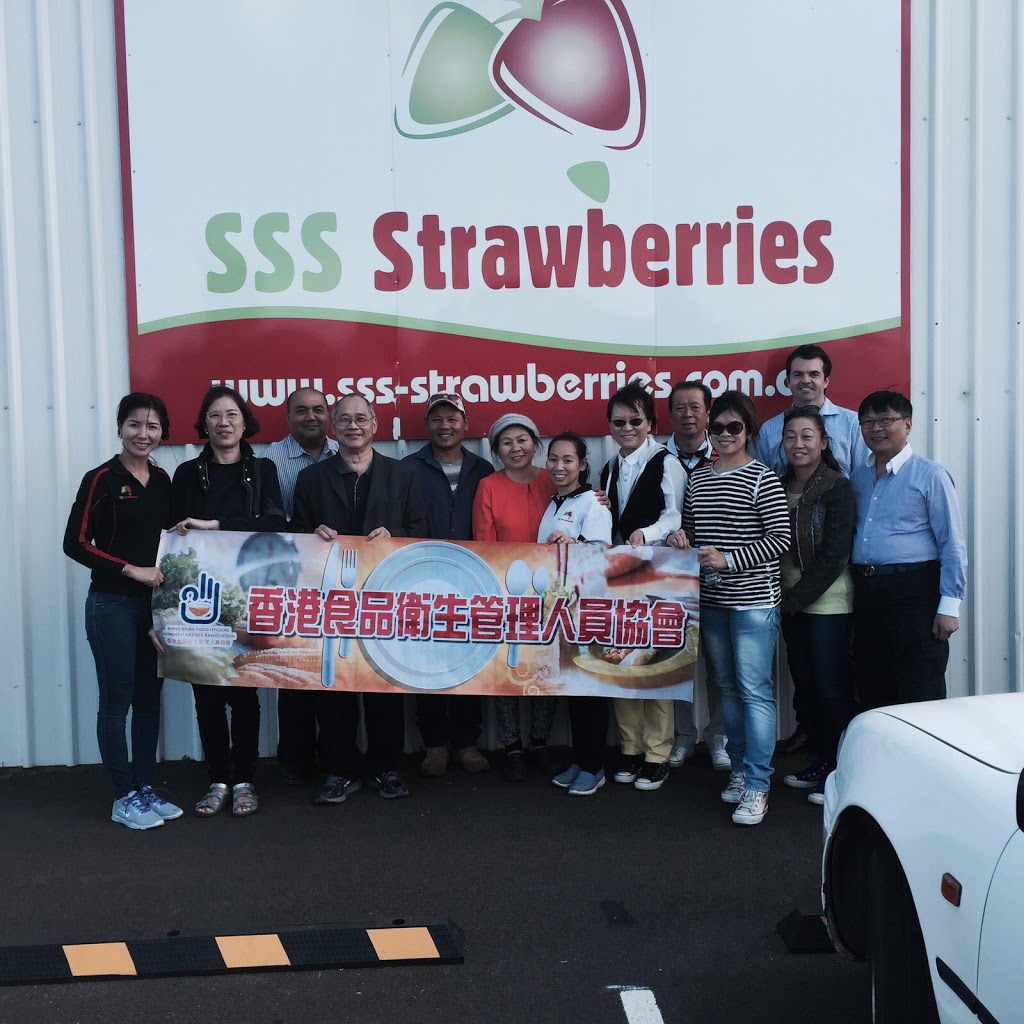 SSS Strawberries | 11 Rosedale Rd, Oakwood QLD 4670, Australia | Phone: (07) 3726 9554