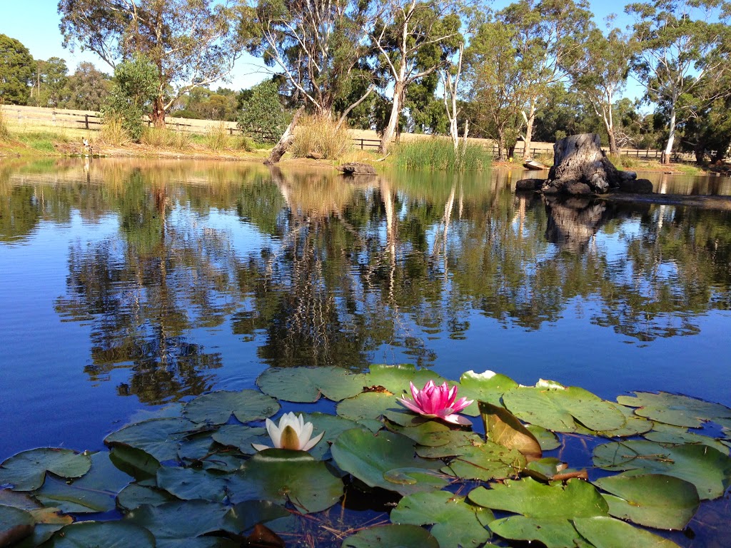 Airlie Farm Retreat | 1106 Moorooduc Hwy, Mount Martha VIC 3934, Australia | Phone: 0487 226 027