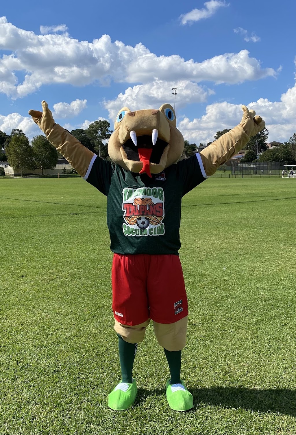 Tahmoor Soccer Club | 140 Thirlmere Way, Tahmoor NSW 2573, Australia | Phone: 0414 281 996