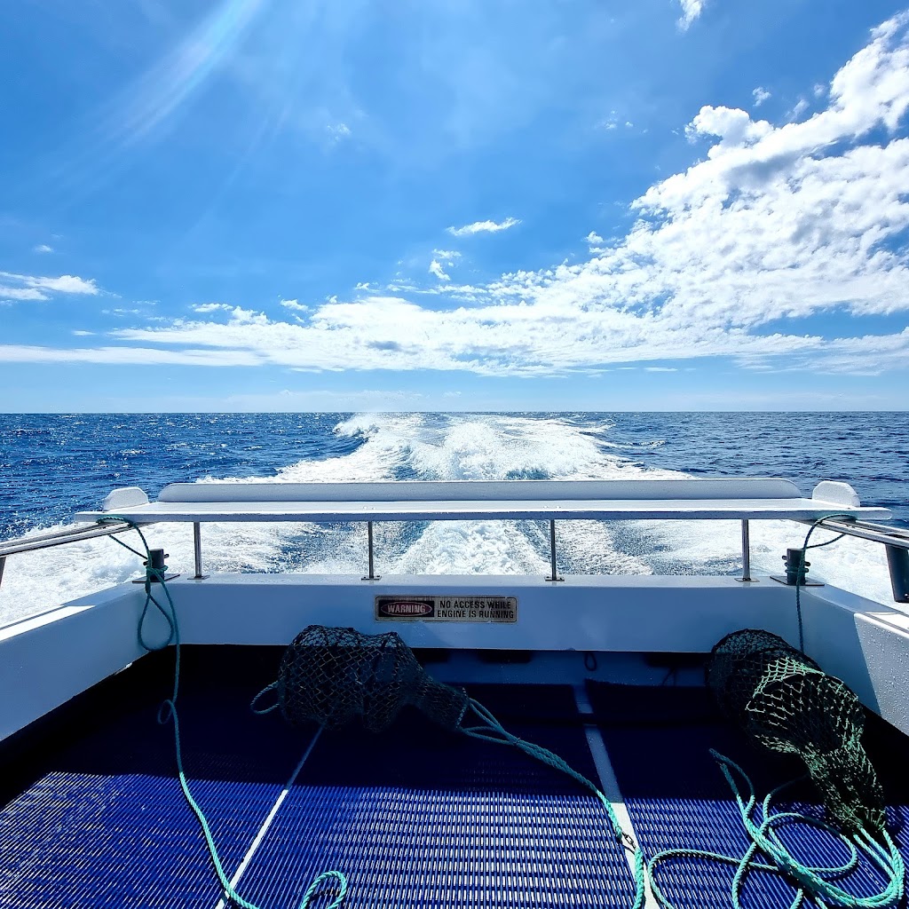 Balgowan Fishing Charters | Balgowan Rd, Balgowan SA 5573, Australia | Phone: 0414 336 277