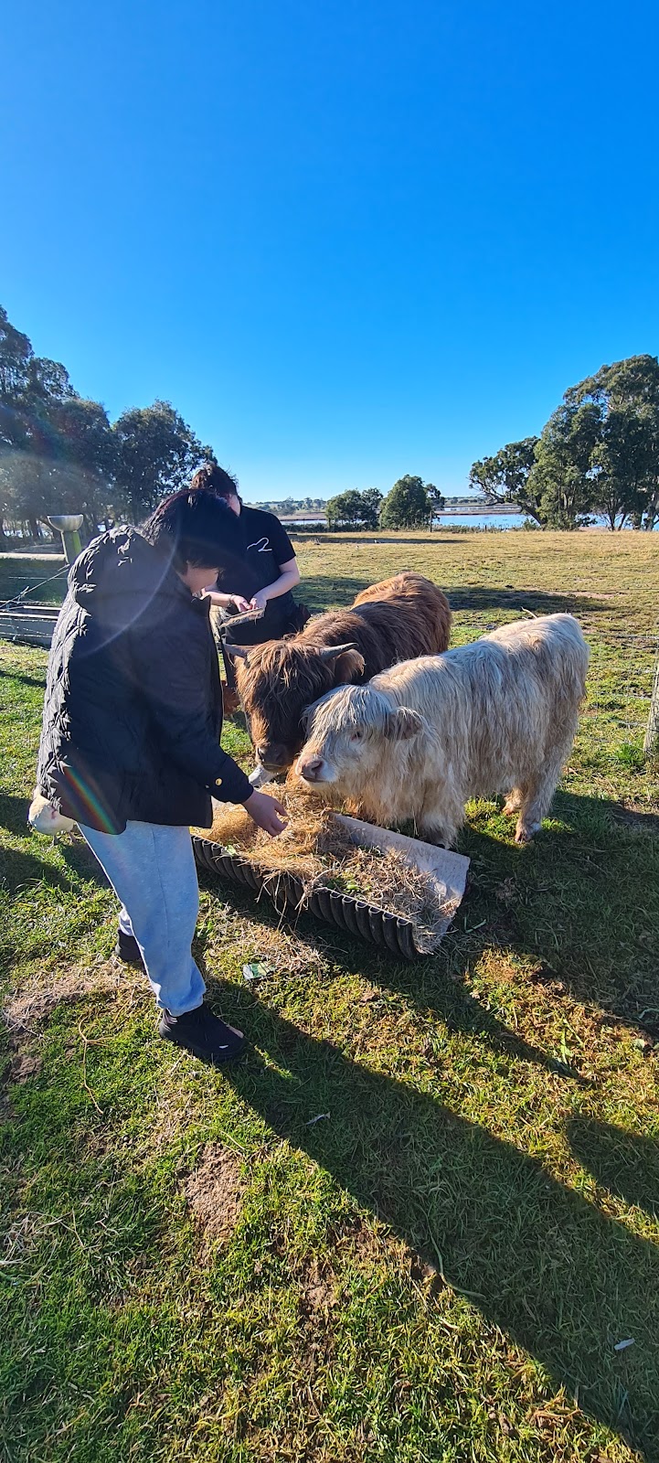 Coos and Ewes | 660 Princes Hwy, Nicholson VIC 3882, Australia | Phone: 0474 293 575