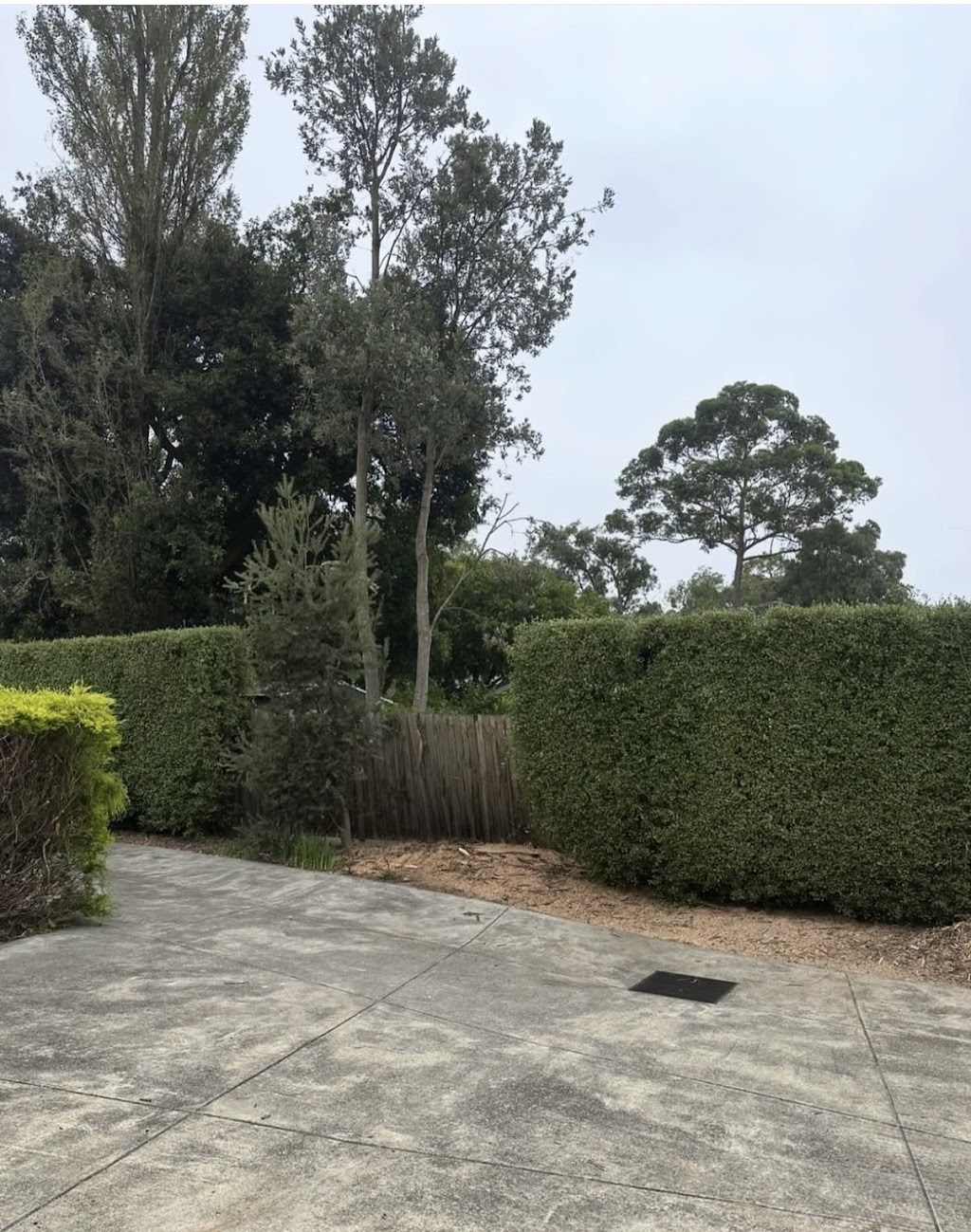 Coopers Trees | Main St, Gembrook VIC 3783, Australia | Phone: 0488 059 902