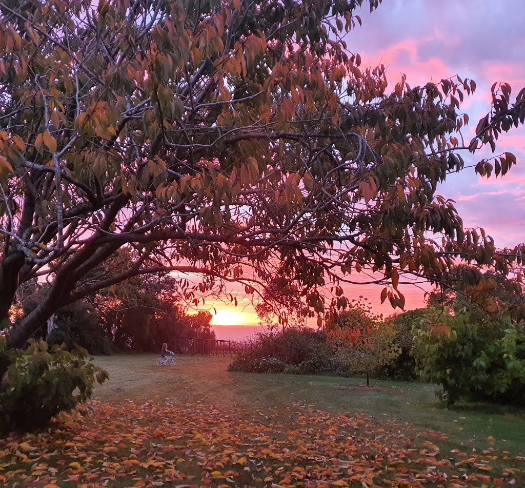 Boat Harbour Boutique Accommodation | 3 Pokes Rd, Boat Harbour TAS 7321, Australia | Phone: 0418 564 073