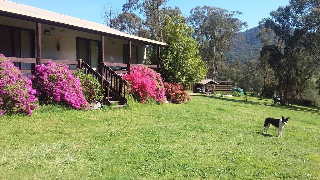 Emerald Park | lodging | 266 Jamieson-Licola Rd, Jamieson VIC 3723, Australia | 0357770569 OR +61 3 5777 0569