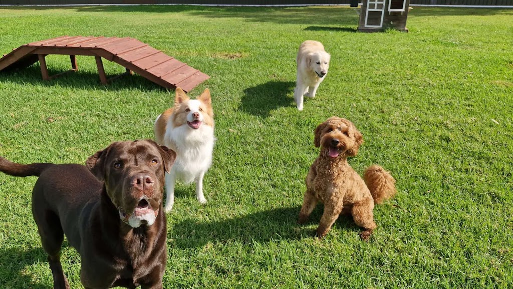 Pawfect Stay | 247 Reynolds Rd, Londonderry NSW 2753, Australia | Phone: 0413 866 896