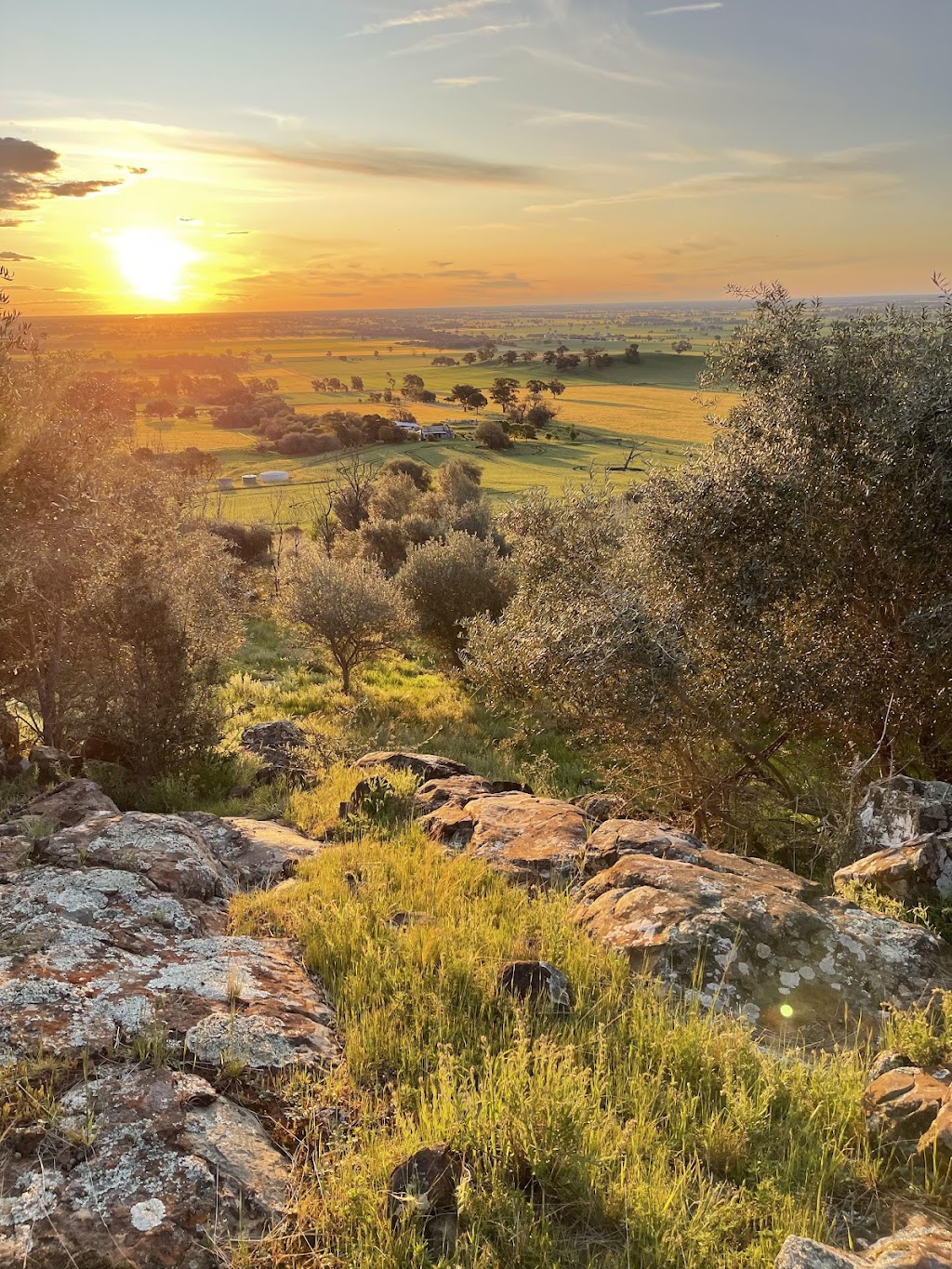 Stony Hill Produce | 300 Dookie-Gowangardie Rd, Mount Major VIC 3646, Australia | Phone: 0407 548 343